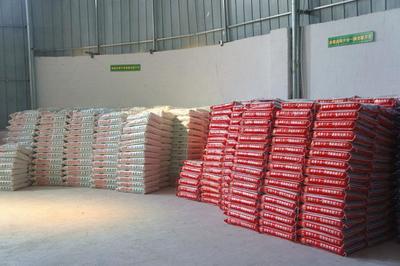 惠州膩子粉全面指南 批發(fā)、品牌、招商與價格解析